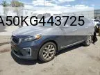 2019 Kia Sorento Sx VIN: 5XYPKDA50KG443725 Lot: 58417524