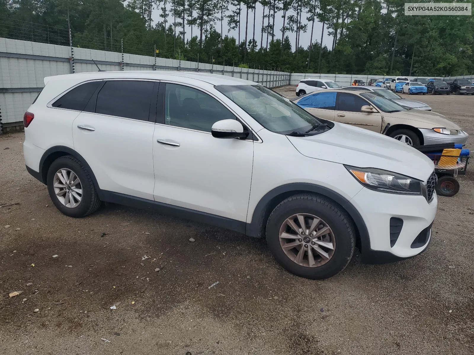 2019 Kia Sorento Lx VIN: 5XYPG4A52KG560384 Lot: 64937274