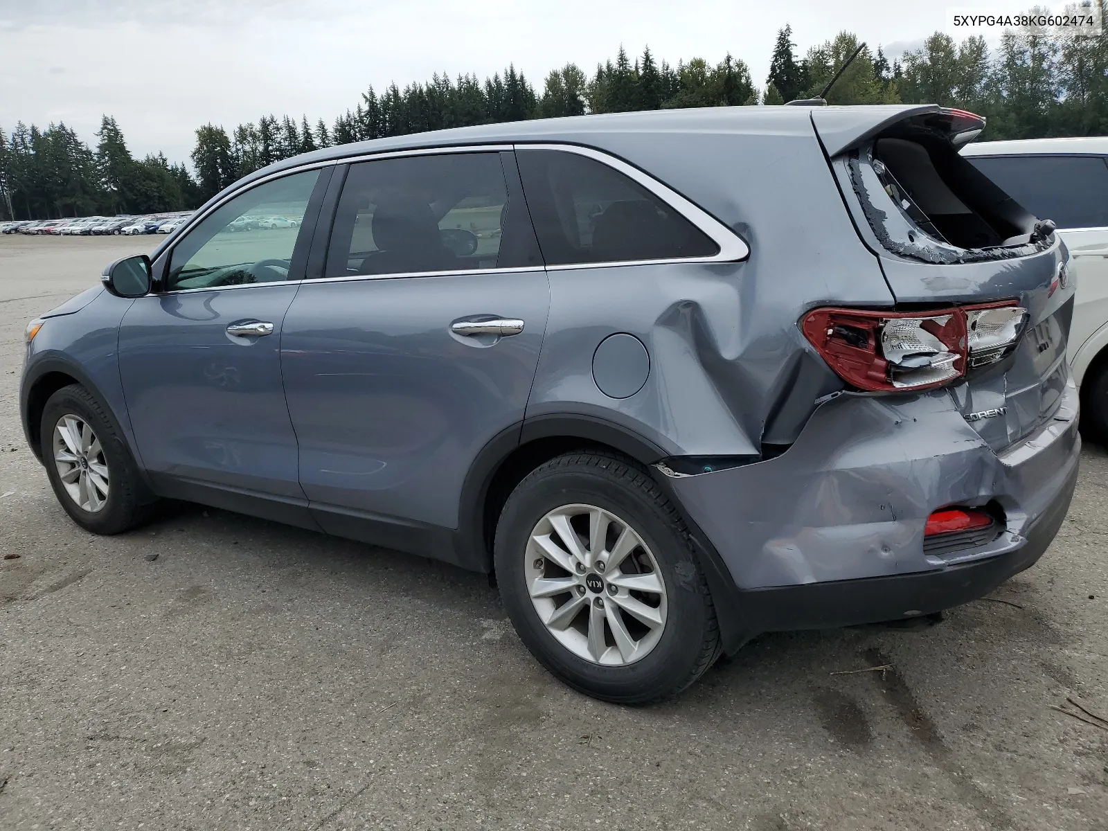 2019 Kia Sorento L VIN: 5XYPG4A38KG602474 Lot: 68268844