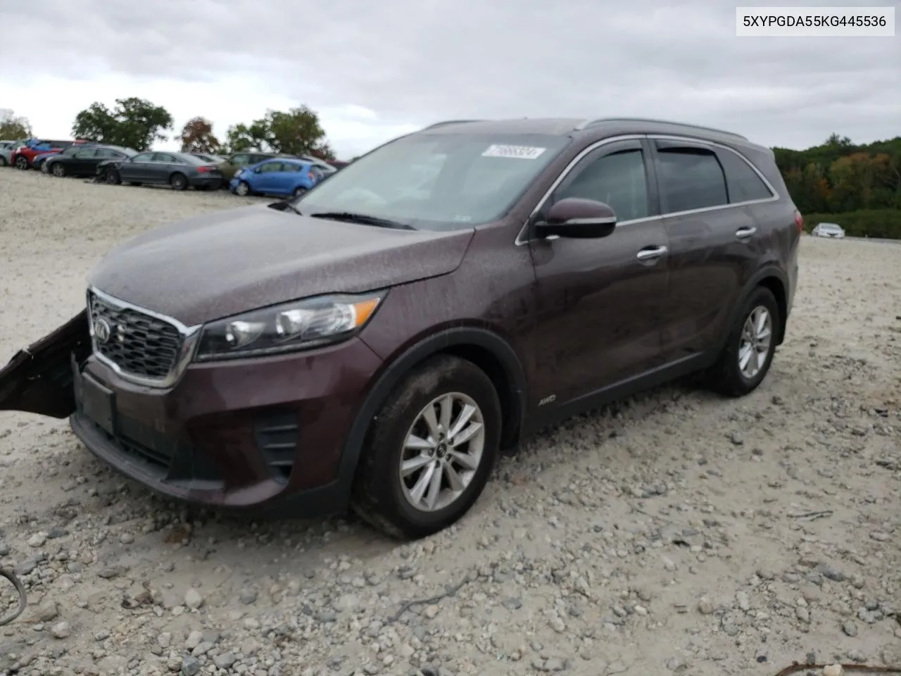 2019 Kia Sorento Lx VIN: 5XYPGDA55KG445536 Lot: 71666324