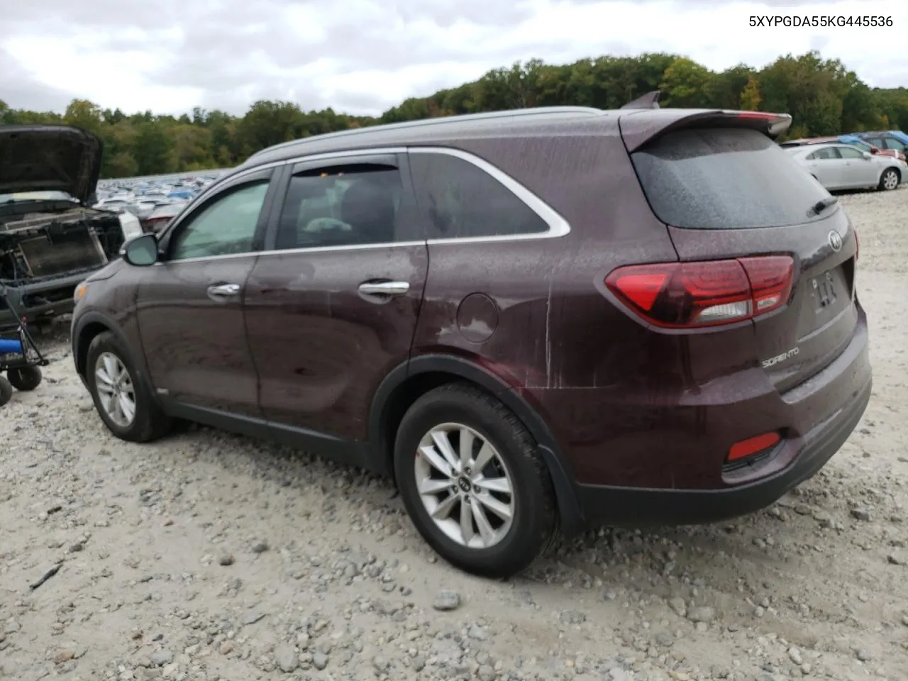 2019 Kia Sorento Lx VIN: 5XYPGDA55KG445536 Lot: 71666324