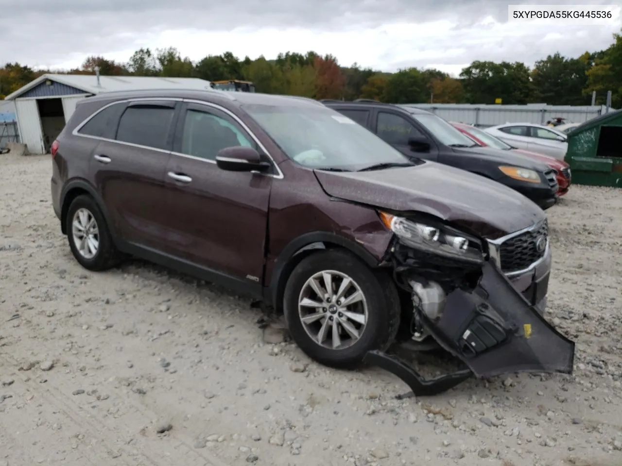 2019 Kia Sorento Lx VIN: 5XYPGDA55KG445536 Lot: 71666324