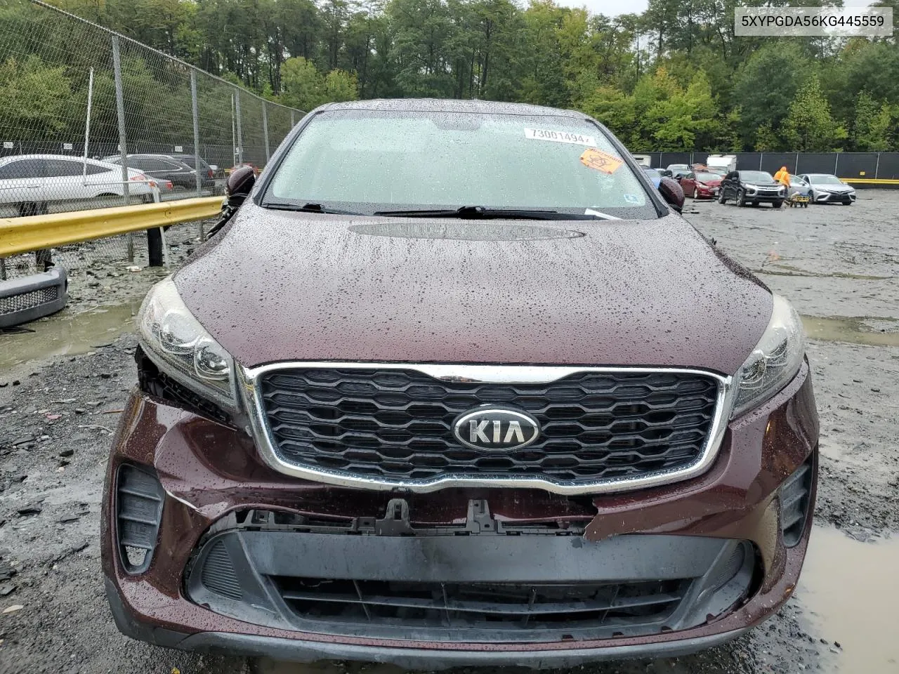 2019 Kia Sorento Lx VIN: 5XYPGDA56KG445559 Lot: 73001494