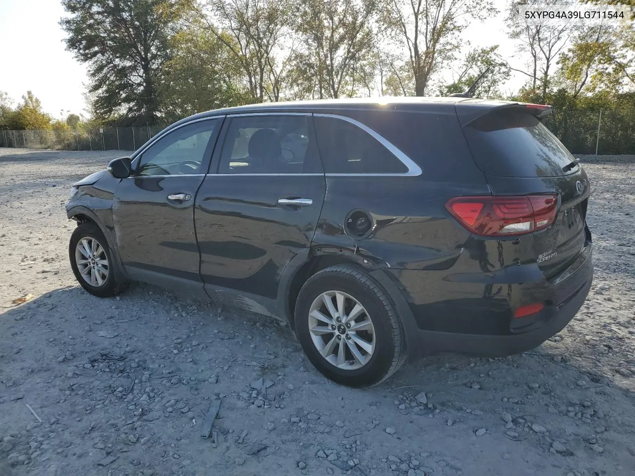 2020 Kia Sorento L VIN: 5XYPG4A39LG711544 Lot: 75176014