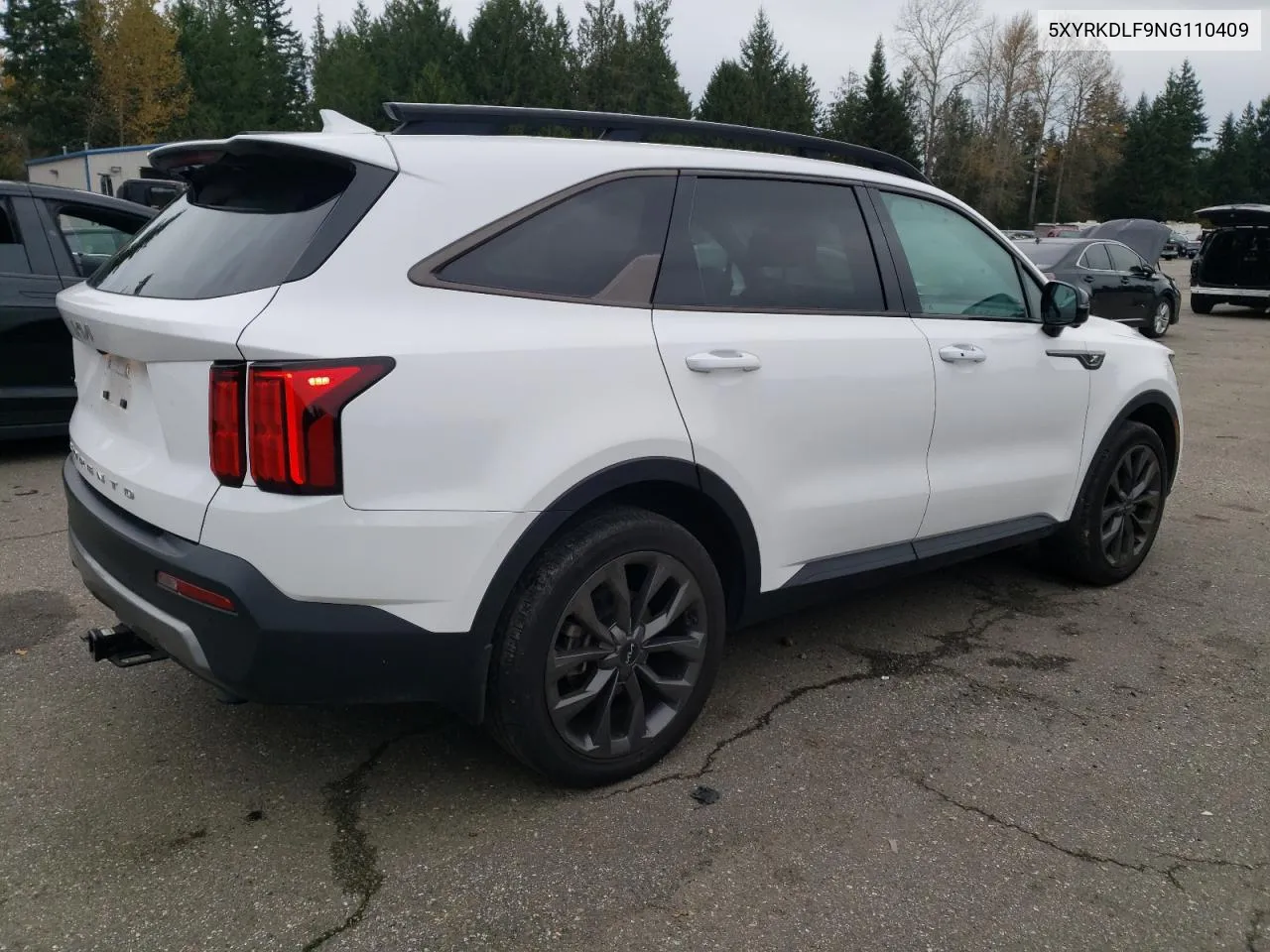 2022 Kia Sorento Sx VIN: 5XYRKDLF9NG110409 Lot: 78683024