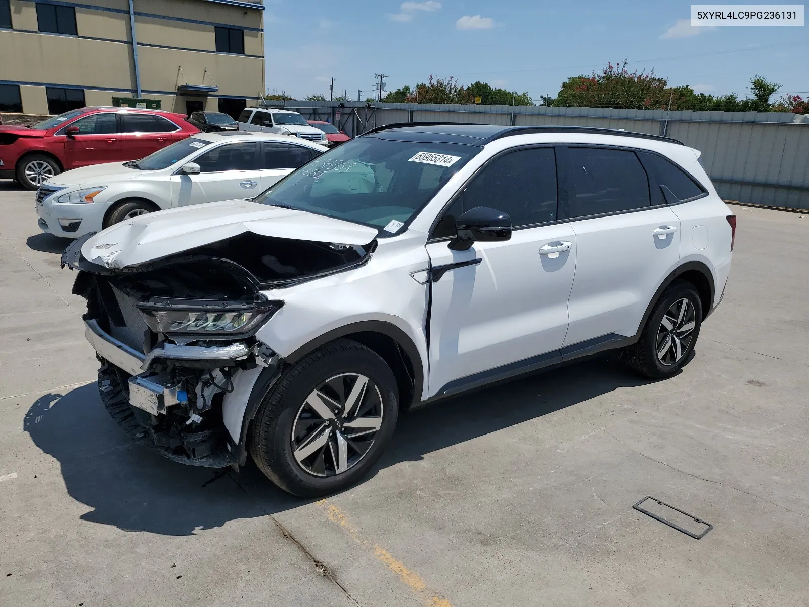 2023 Kia Sorento S VIN: 5XYRL4LC9PG236131 Lot: 65955314