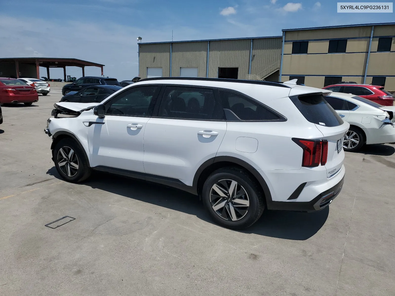 2023 Kia Sorento S VIN: 5XYRL4LC9PG236131 Lot: 65955314