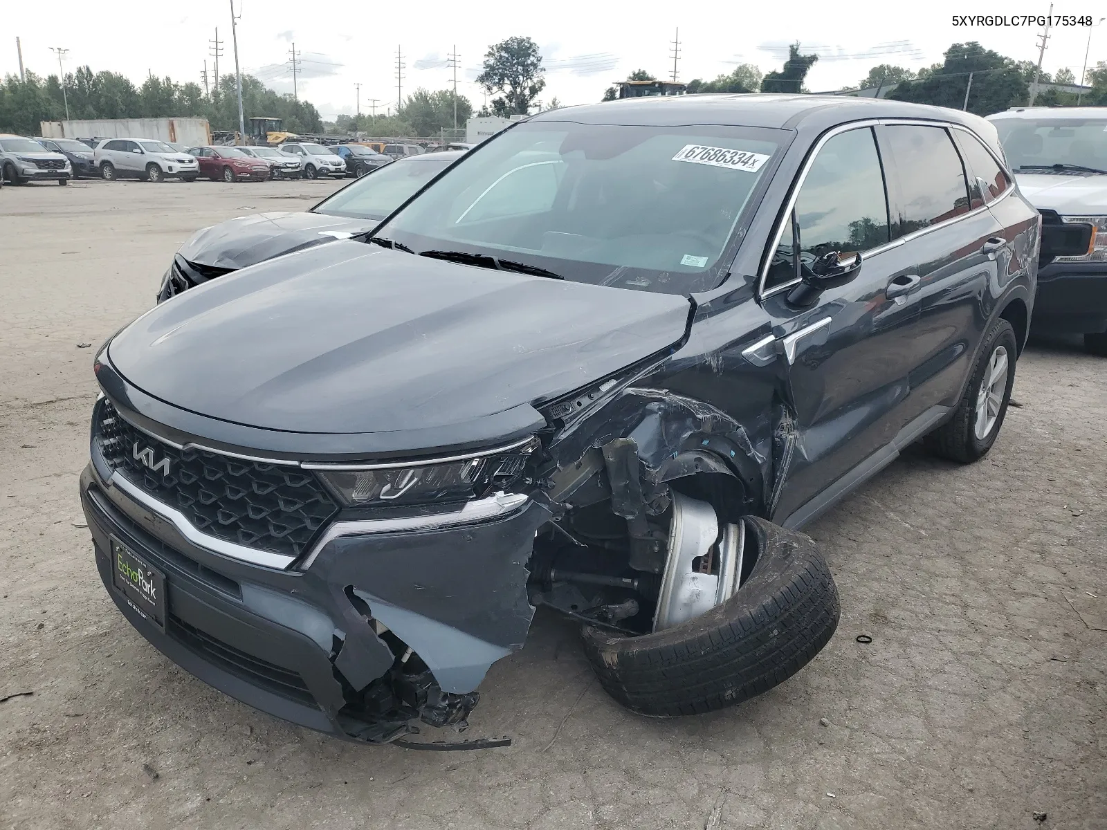 2023 Kia Sorento Lx VIN: 5XYRGDLC7PG175348 Lot: 67686334