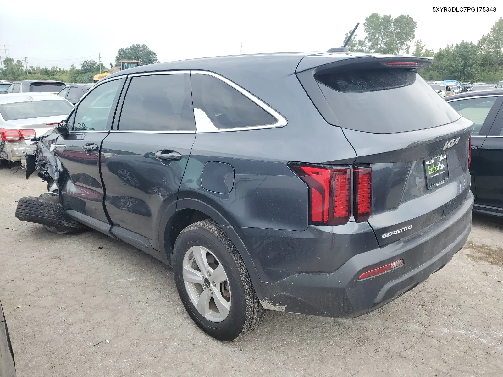 2023 Kia Sorento Lx VIN: 5XYRGDLC7PG175348 Lot: 67686334