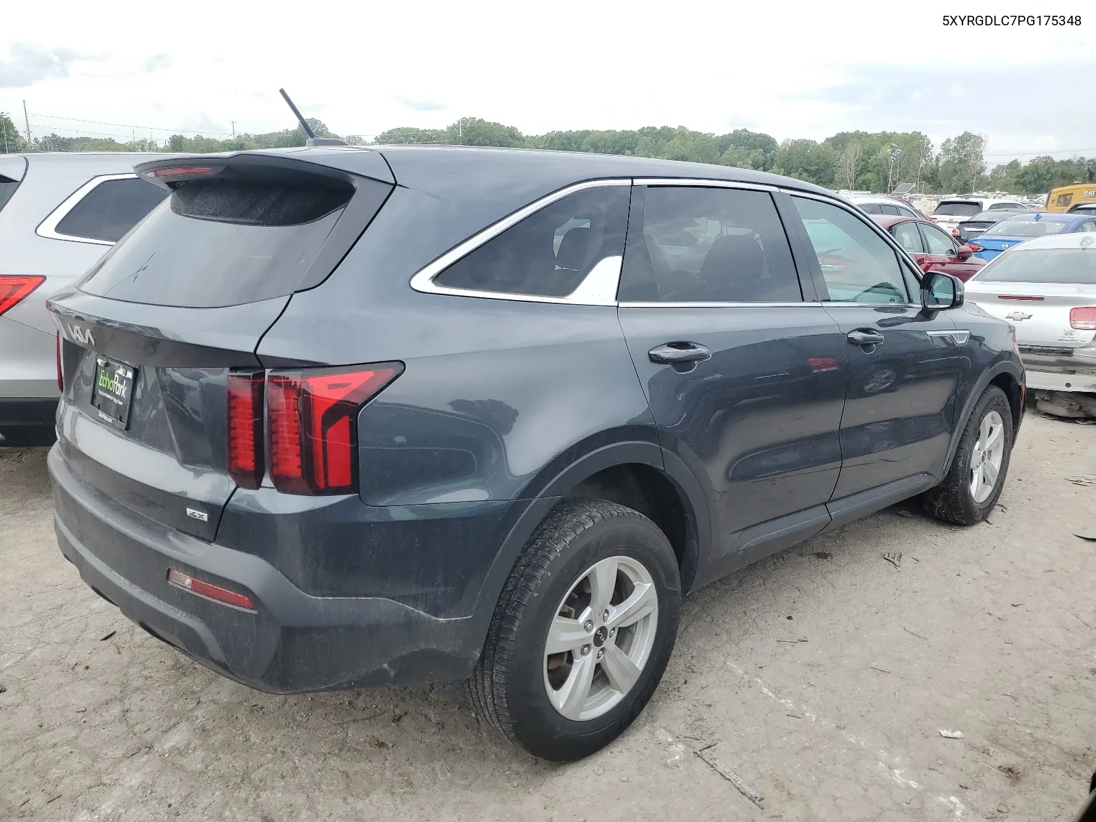 2023 Kia Sorento Lx VIN: 5XYRGDLC7PG175348 Lot: 67686334