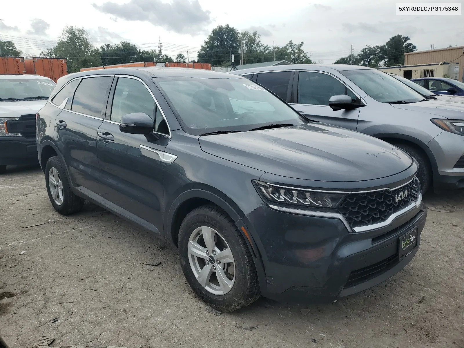 2023 Kia Sorento Lx VIN: 5XYRGDLC7PG175348 Lot: 67686334