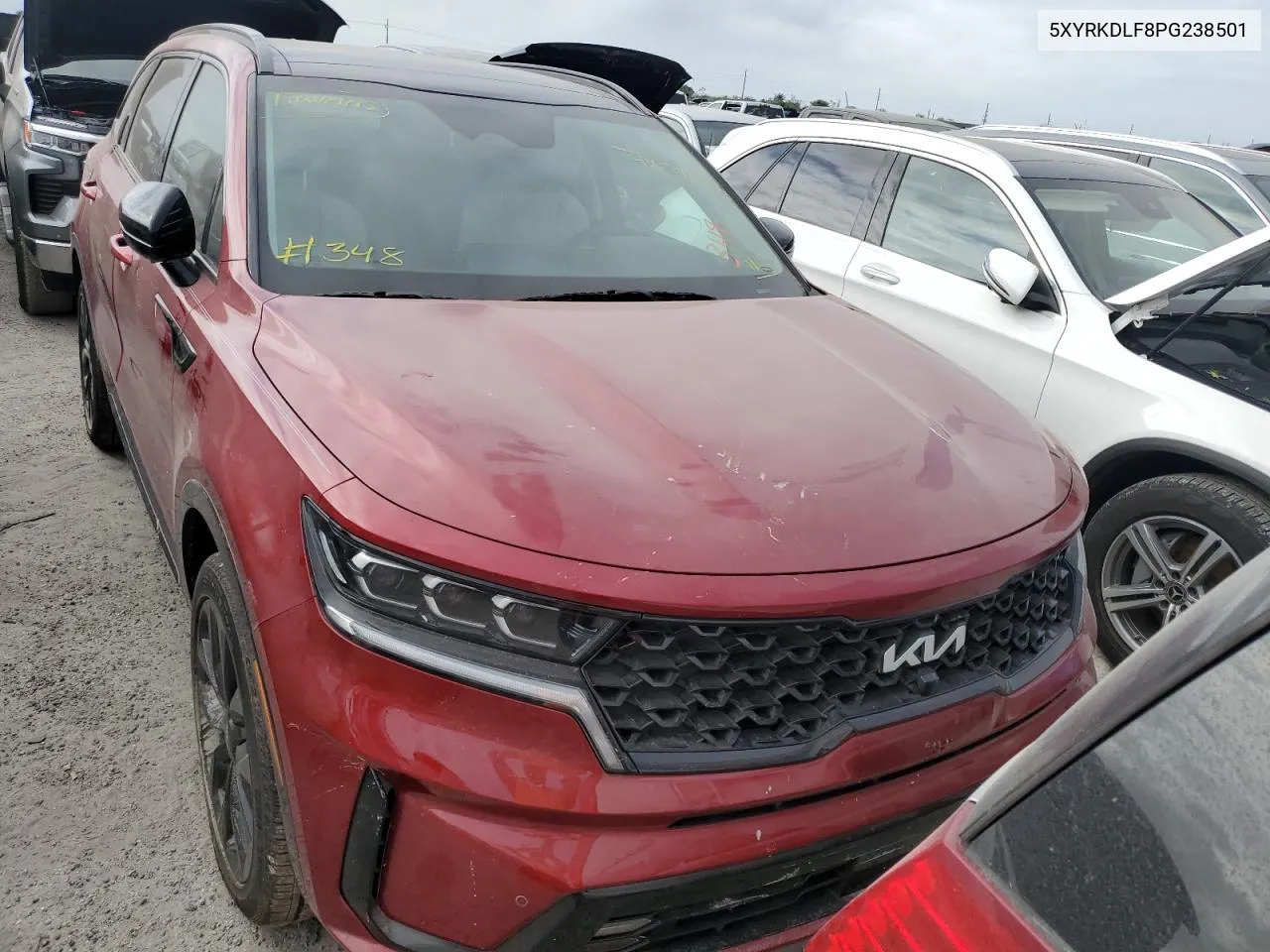 5XYRKDLF8PG238501 2023 Kia Sorento Sx