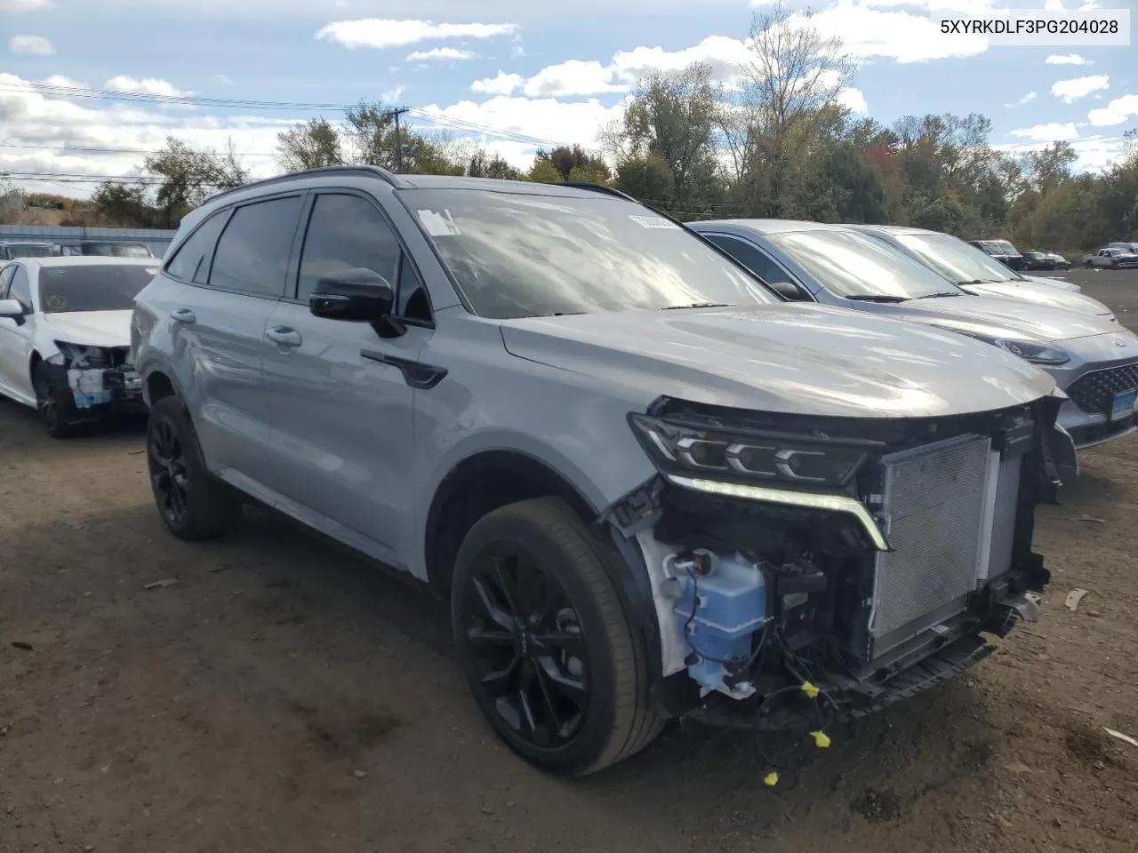 2023 Kia Sorento Sx VIN: 5XYRKDLF3PG204028 Lot: 75609824