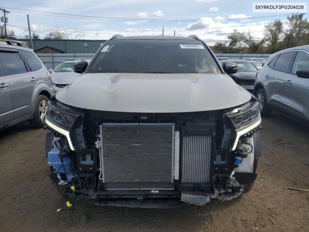 2023 Kia Sorento Sx VIN: 5XYRKDLF3PG204028 Lot: 75609824