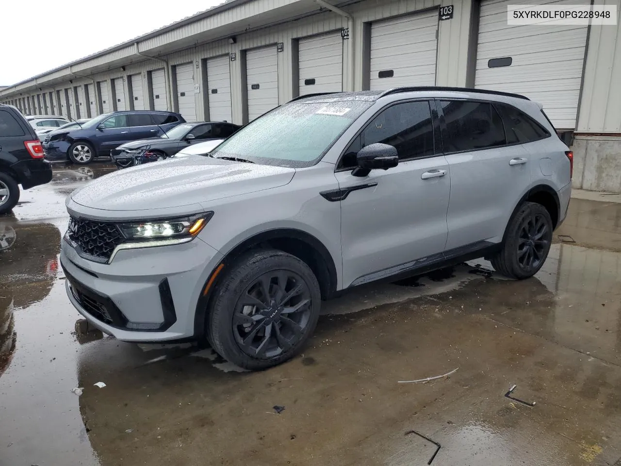 2023 Kia Sorento Sx VIN: 5XYRKDLF0PG228948 Lot: 78571884