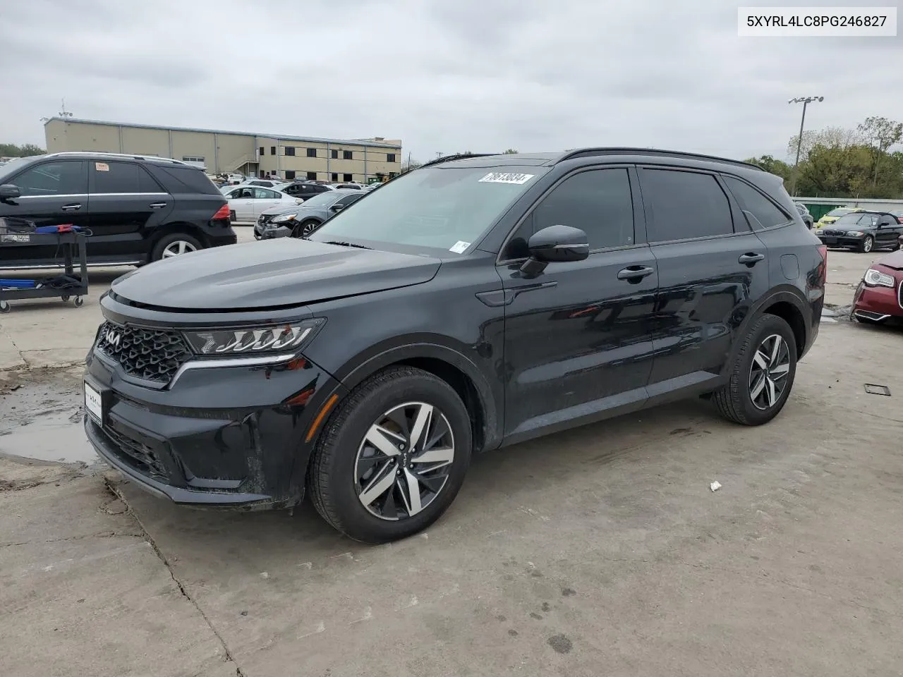 2023 Kia Sorento S VIN: 5XYRL4LC8PG246827 Lot: 78613034