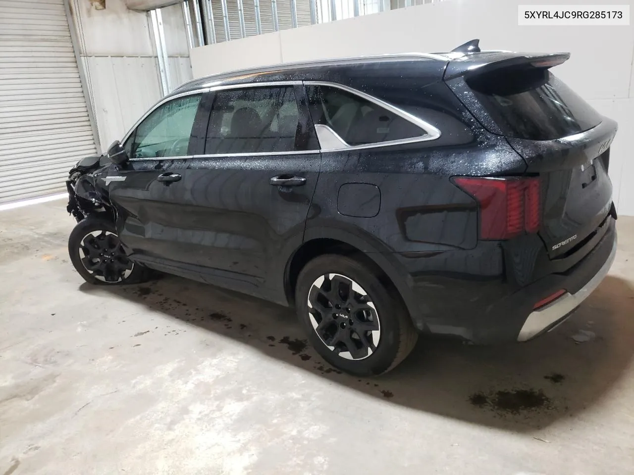 5XYRL4JC9RG285173 2024 Kia Sorento S