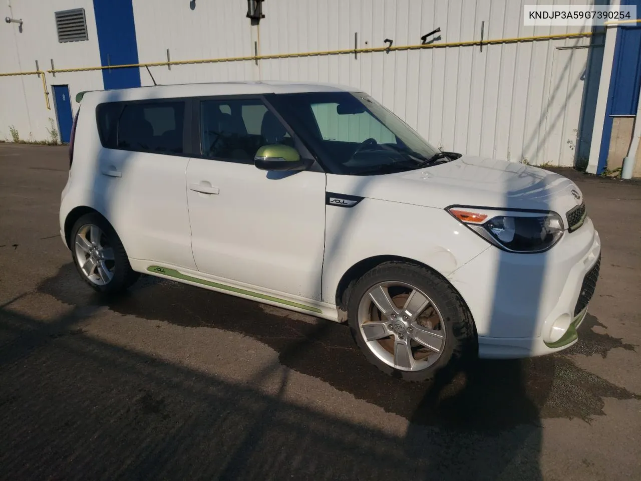 KNDJP3A59G7390254 2016 Kia Soul +