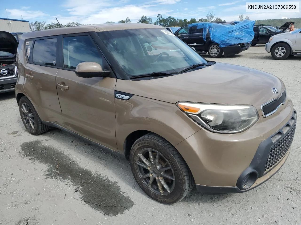 2016 Kia Soul VIN: KNDJN2A21G7309558 Lot: 73997084