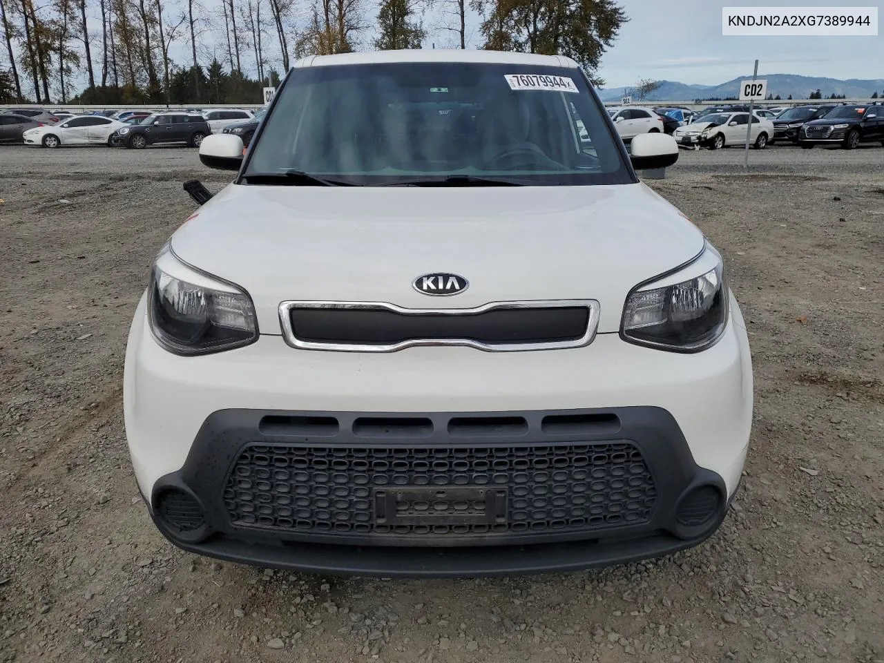 2016 Kia Soul VIN: KNDJN2A2XG7389944 Lot: 76079944