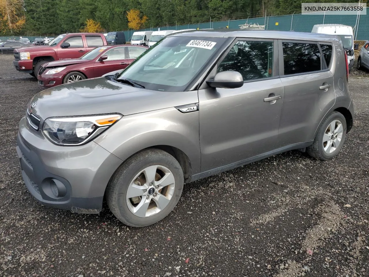 2019 Kia Soul VIN: KNDJN2A25K7663558 Lot: 80467734