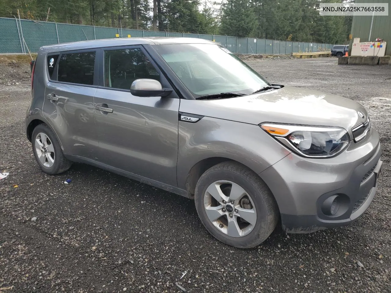 2019 Kia Soul VIN: KNDJN2A25K7663558 Lot: 80467734