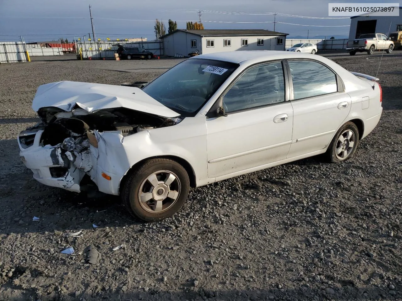 2002 Kia Spectra Gs VIN: KNAFB161025073897 Lot: 77258114