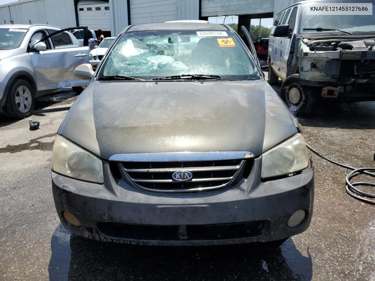 2005 Kia Spectra Lx VIN: KNAFE121455127686 Lot: 64639184