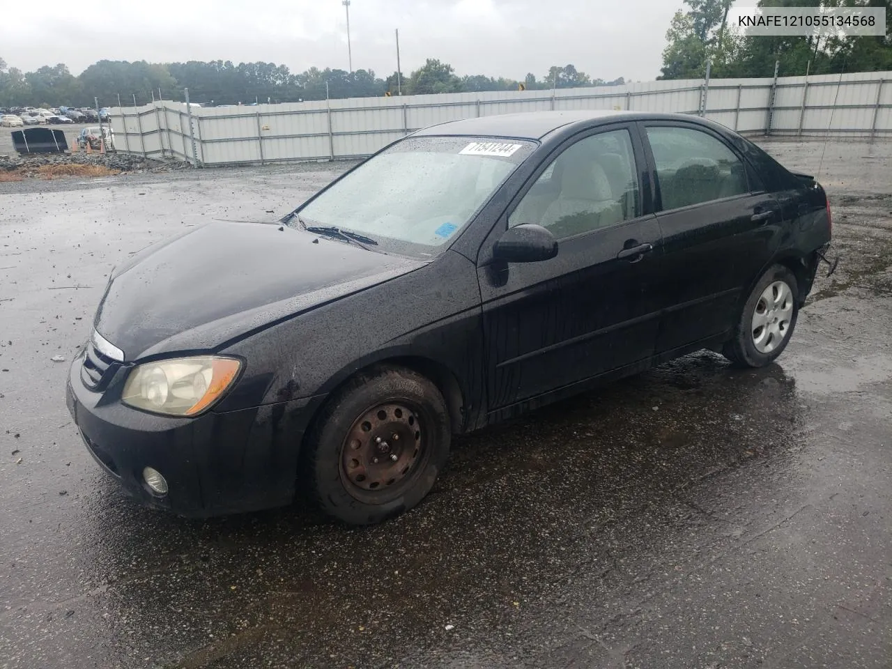 2005 Kia Spectra Lx VIN: KNAFE121055134568 Lot: 71541244