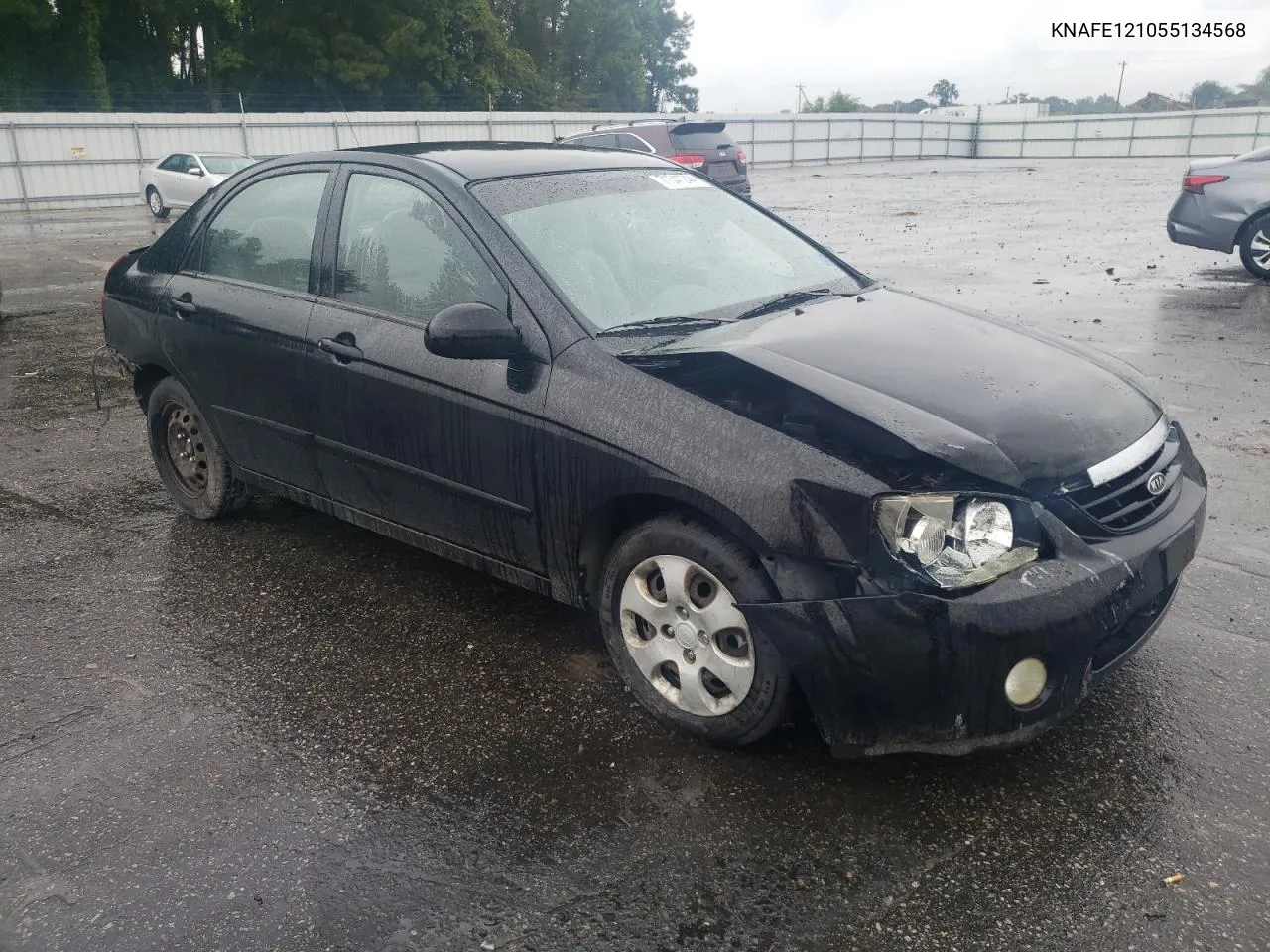 2005 Kia Spectra Lx VIN: KNAFE121055134568 Lot: 71541244