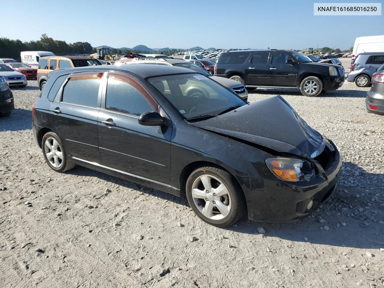 2008 Kia Spectra5 5 Sx VIN: KNAFE161685016250 Lot: 71382894