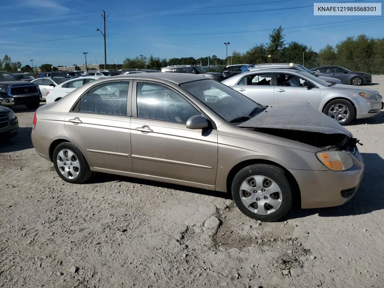 2008 Kia Spectra Ex VIN: KNAFE121985568301 Lot: 74066674