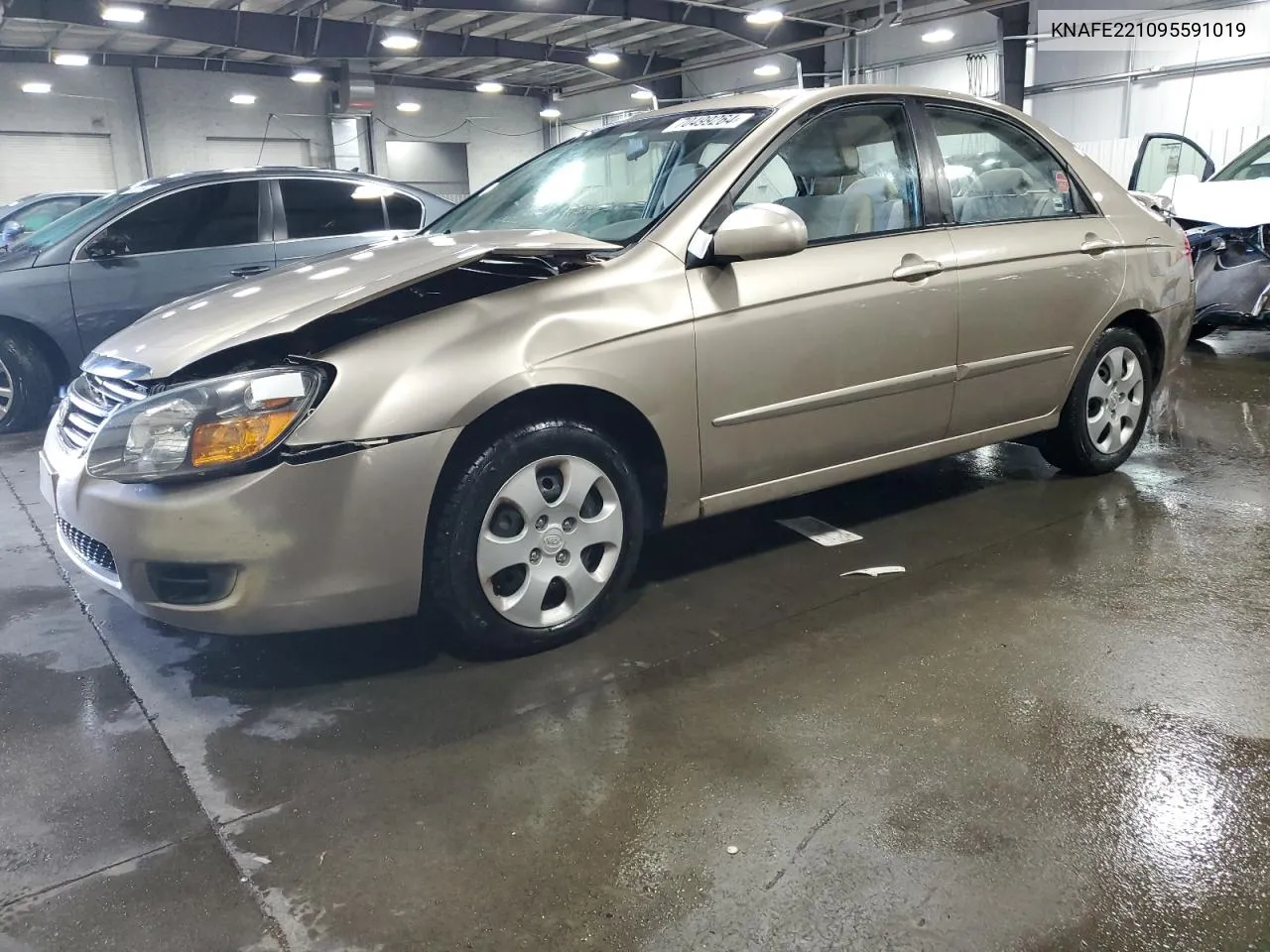 2009 Kia Spectra Ex VIN: KNAFE221095591019 Lot: 70499264