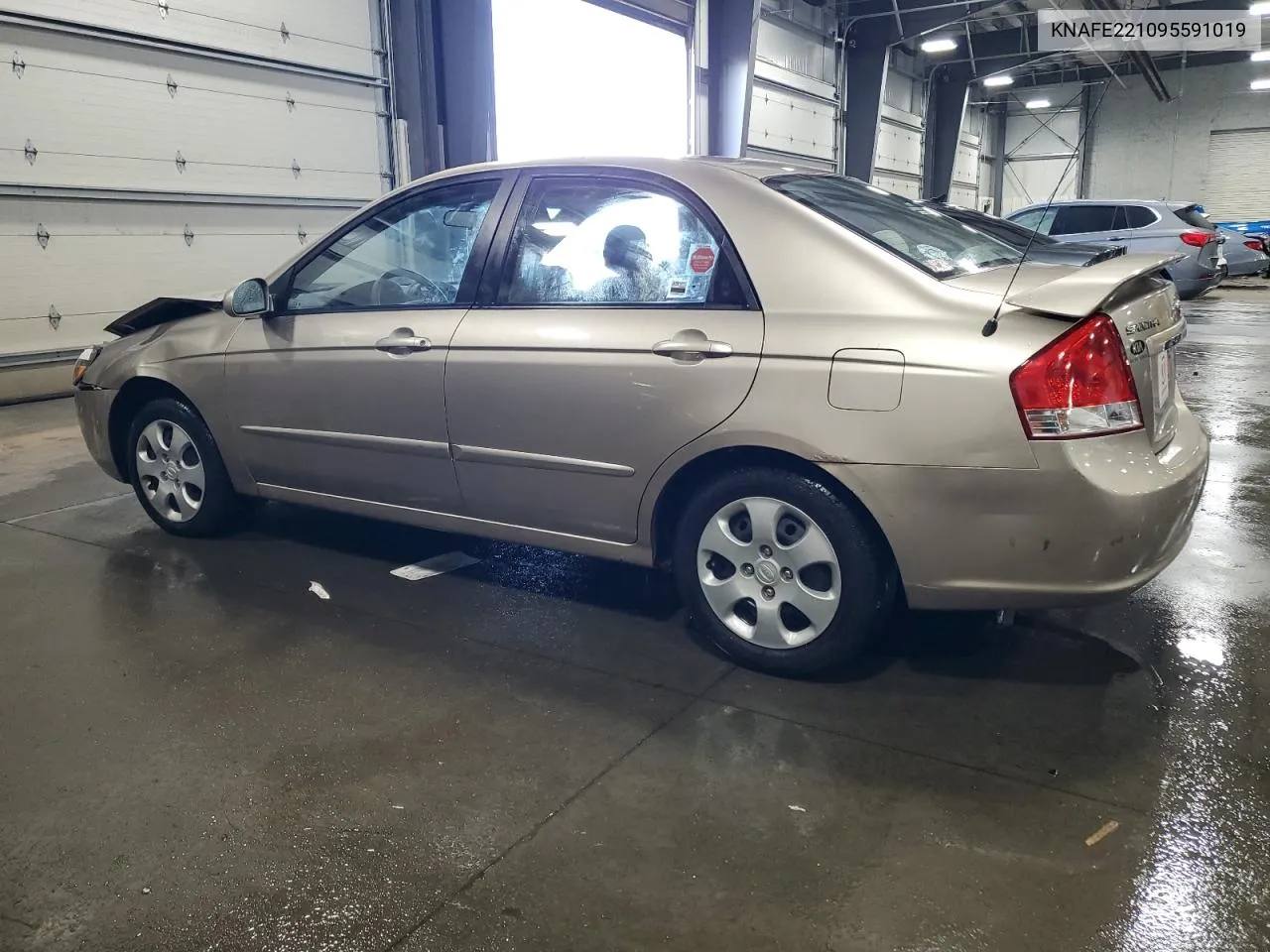 2009 Kia Spectra Ex VIN: KNAFE221095591019 Lot: 70499264