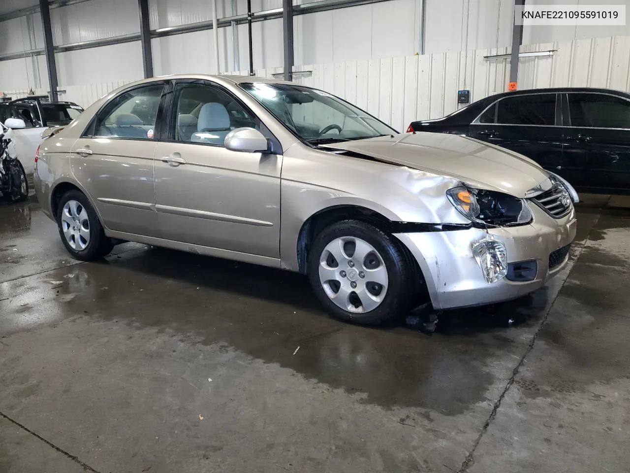 2009 Kia Spectra Ex VIN: KNAFE221095591019 Lot: 70499264