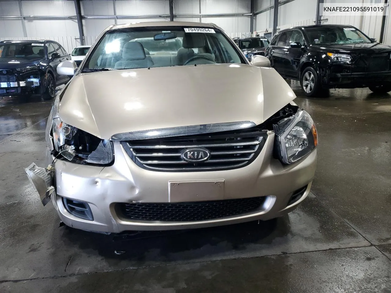 2009 Kia Spectra Ex VIN: KNAFE221095591019 Lot: 70499264