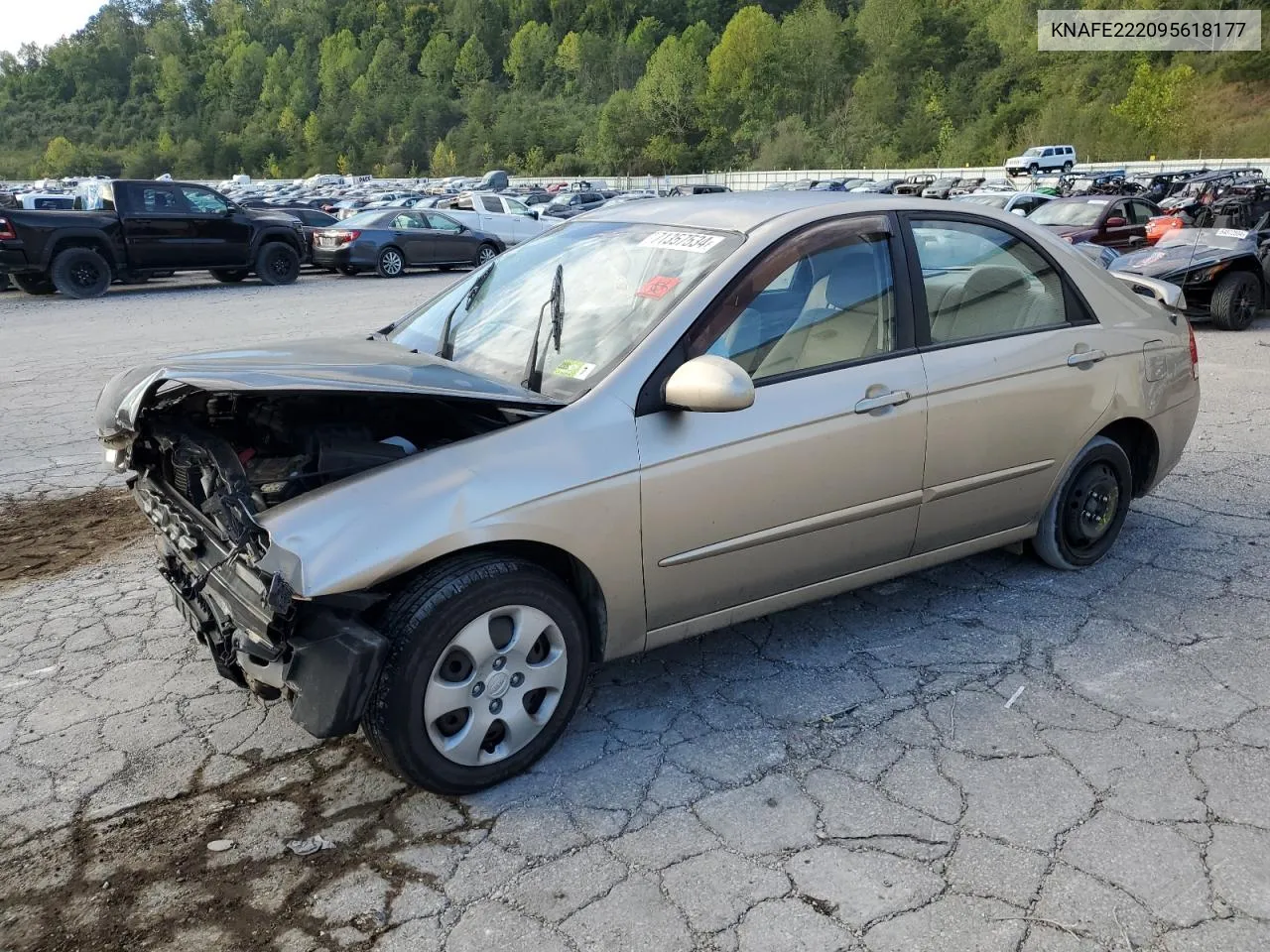 2009 Kia Spectra Ex VIN: KNAFE222095618177 Lot: 71357534