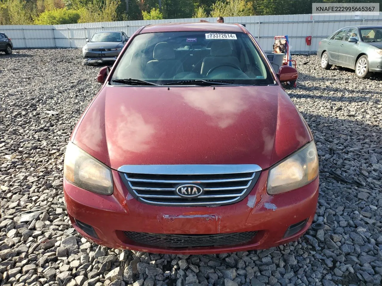 2009 Kia Spectra Ex VIN: KNAFE222995665367 Lot: 73372614