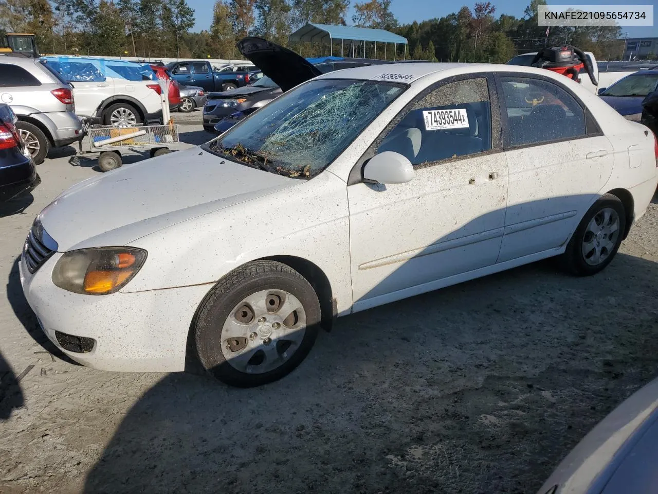 2009 Kia Spectra Ex VIN: KNAFE221095654734 Lot: 74393544