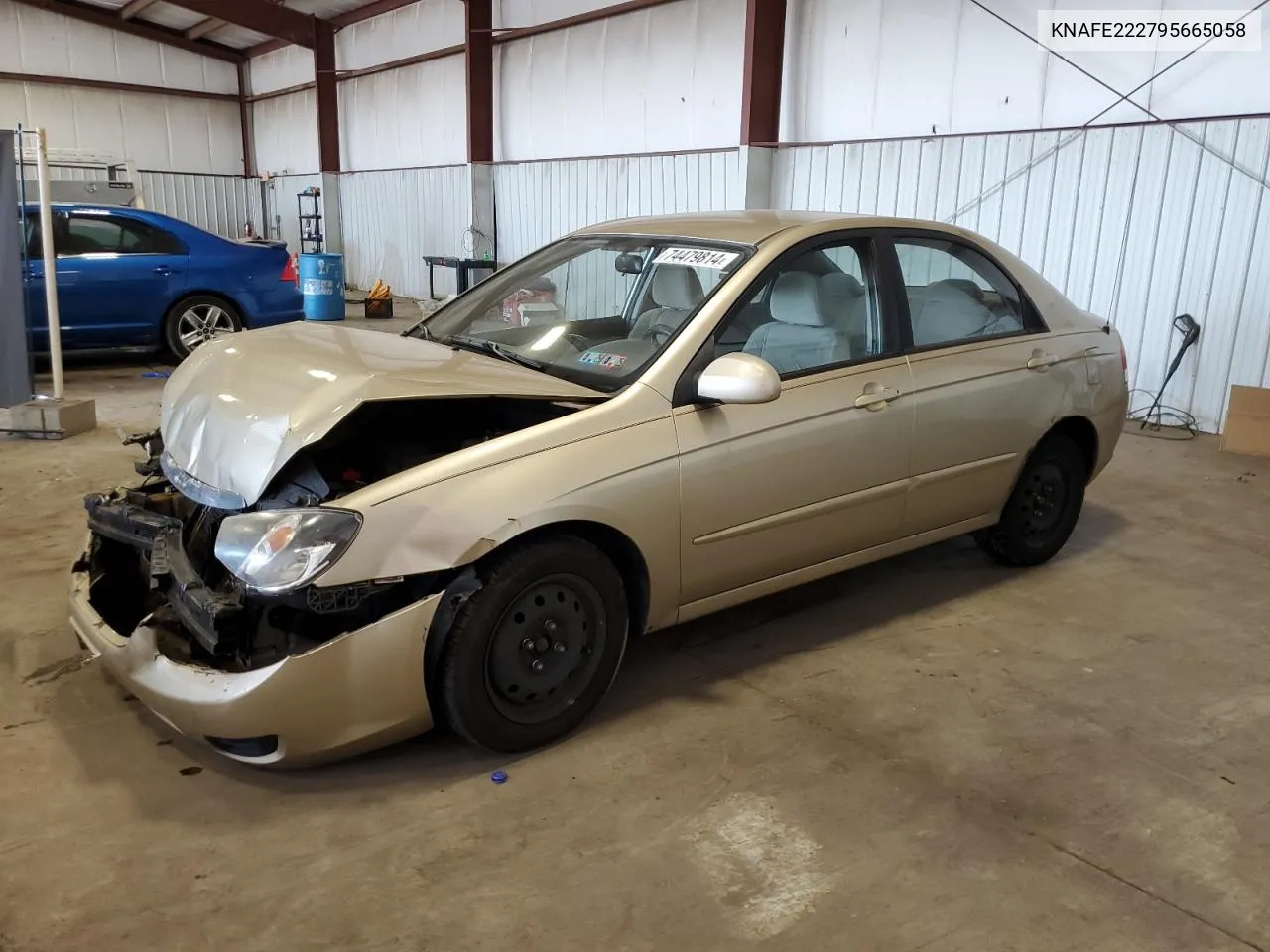 KNAFE222795665058 2009 Kia Spectra Ex