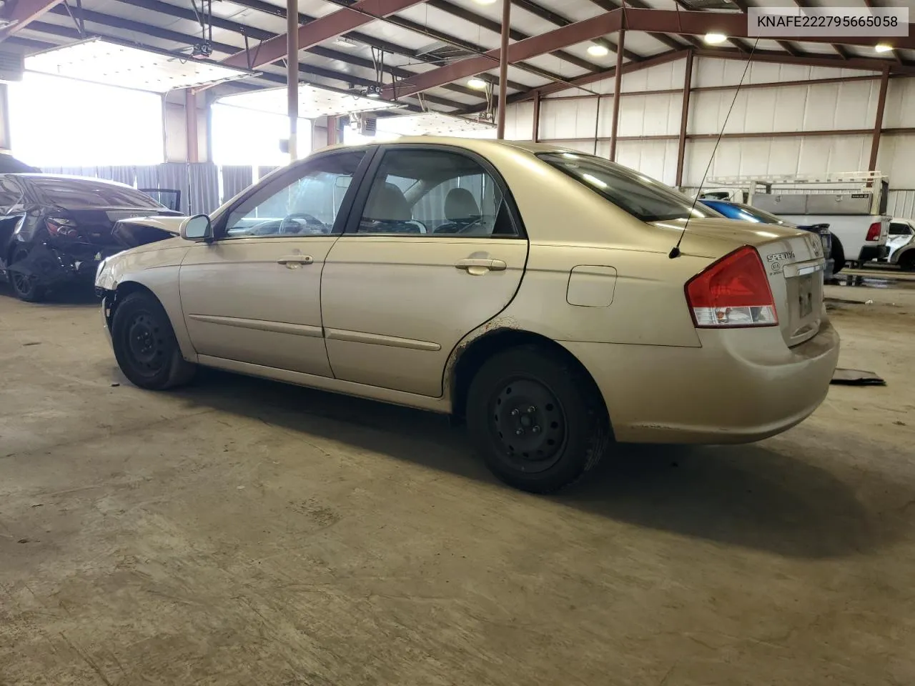 KNAFE222795665058 2009 Kia Spectra Ex