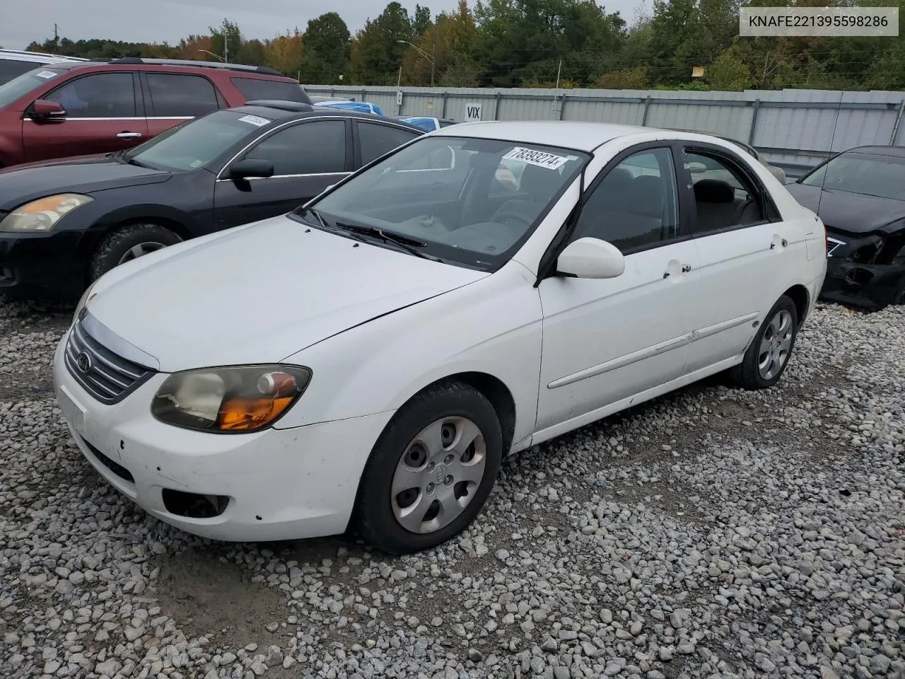 2009 Kia Spectra Ex VIN: KNAFE221395598286 Lot: 78393274