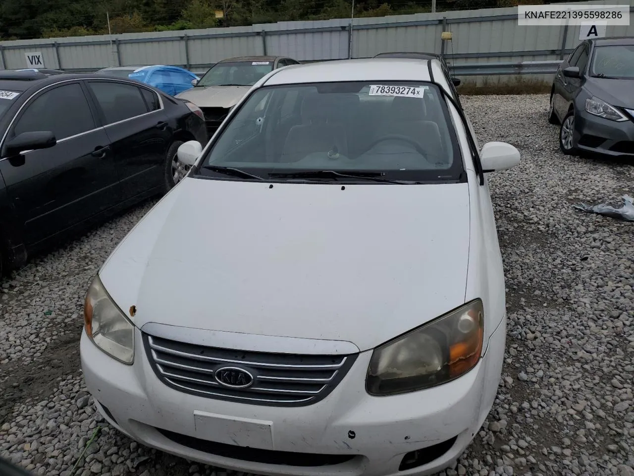 2009 Kia Spectra Ex VIN: KNAFE221395598286 Lot: 78393274