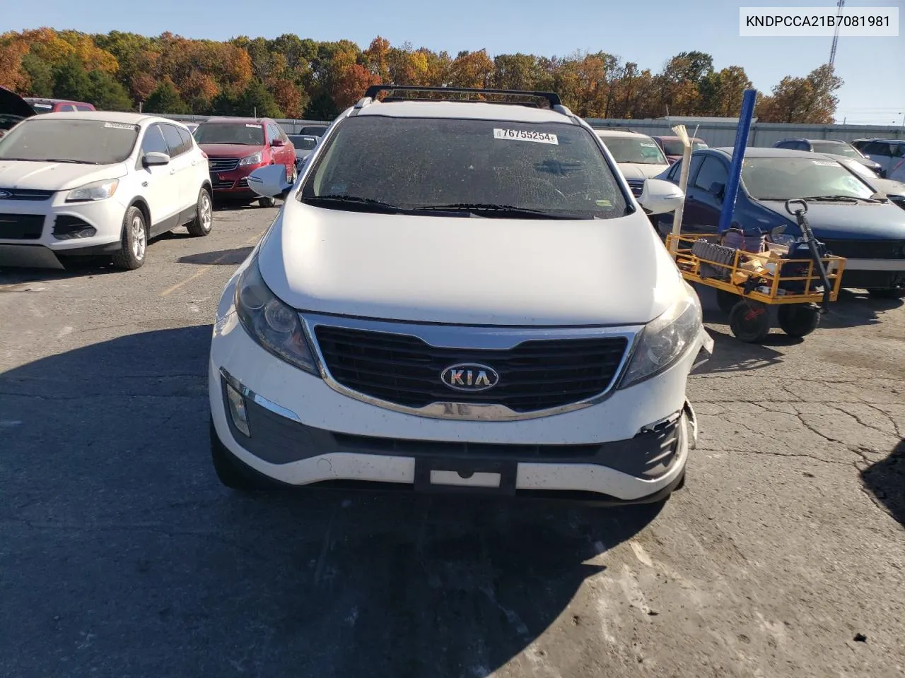 2011 Kia Sportage Ex VIN: KNDPCCA21B7081981 Lot: 76755254