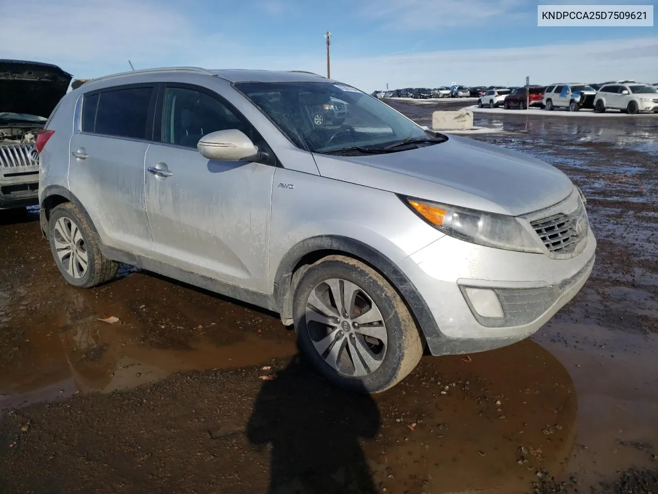 2013 Kia Sportage Ex VIN: KNDPCCA25D7509621 Lot: 43367194