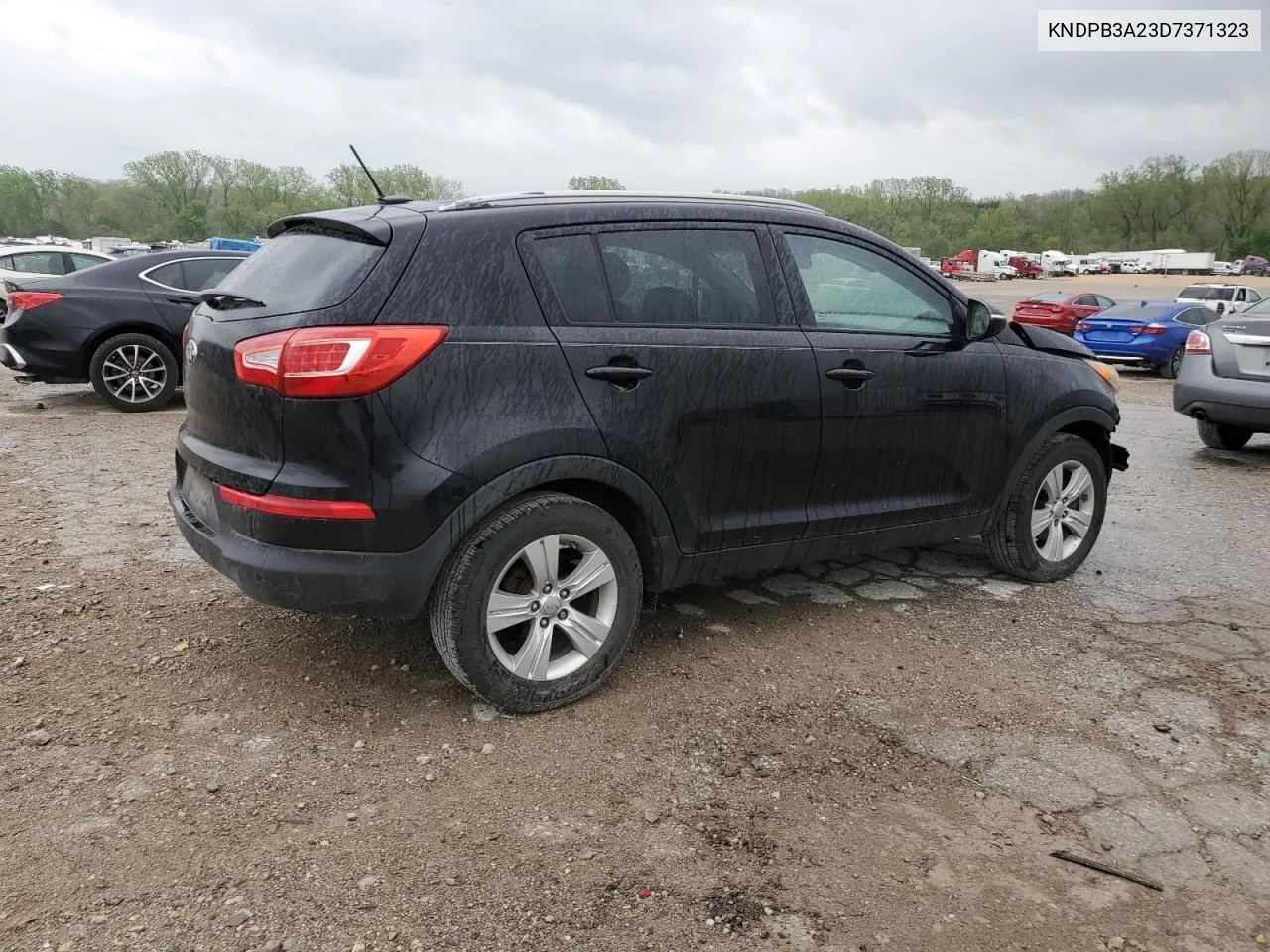 2013 Kia Sportage Base VIN: KNDPB3A23D7371323 Lot: 50861244