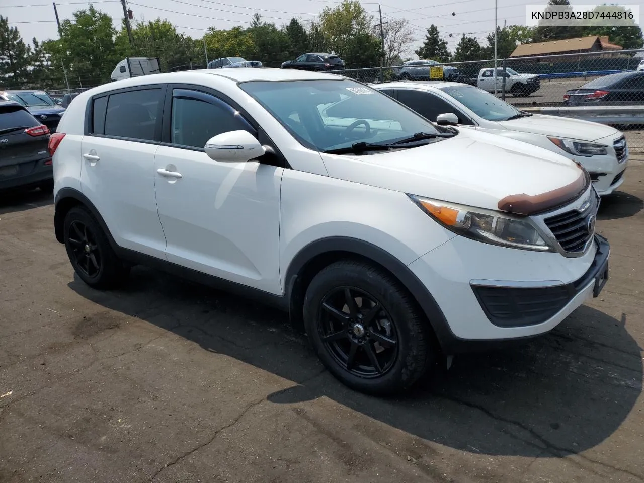 2013 Kia Sportage Base VIN: KNDPB3A28D7444816 Lot: 64768124