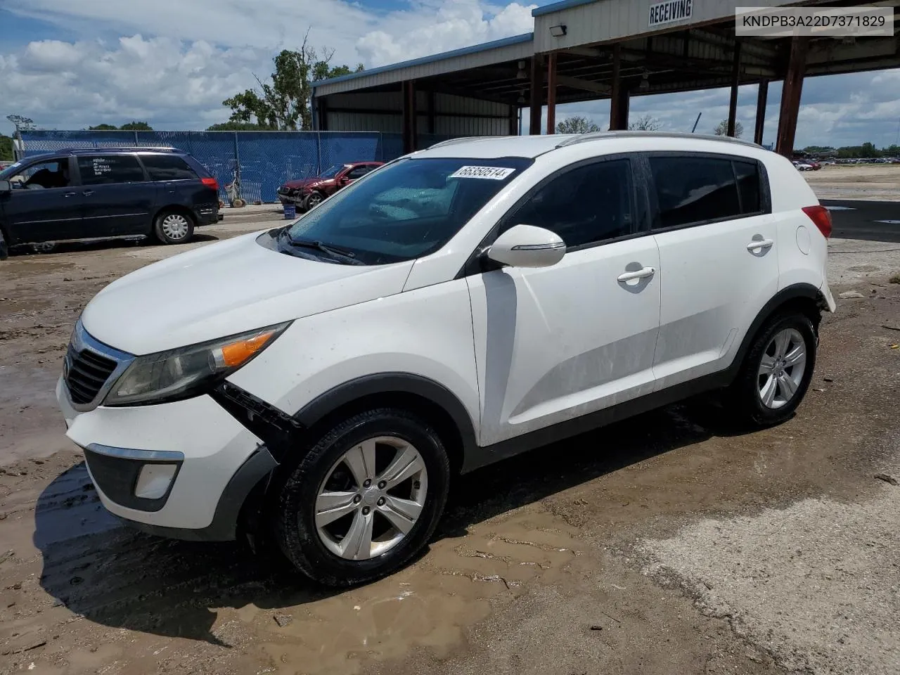 2013 Kia Sportage Base VIN: KNDPB3A22D7371829 Lot: 66350514