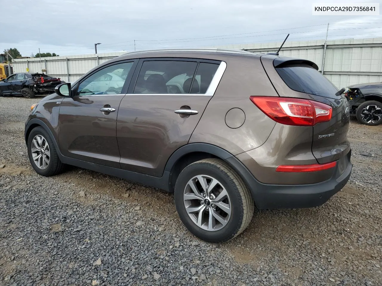 2013 Kia Sportage Ex VIN: KNDPCCA29D7356841 Lot: 72022464