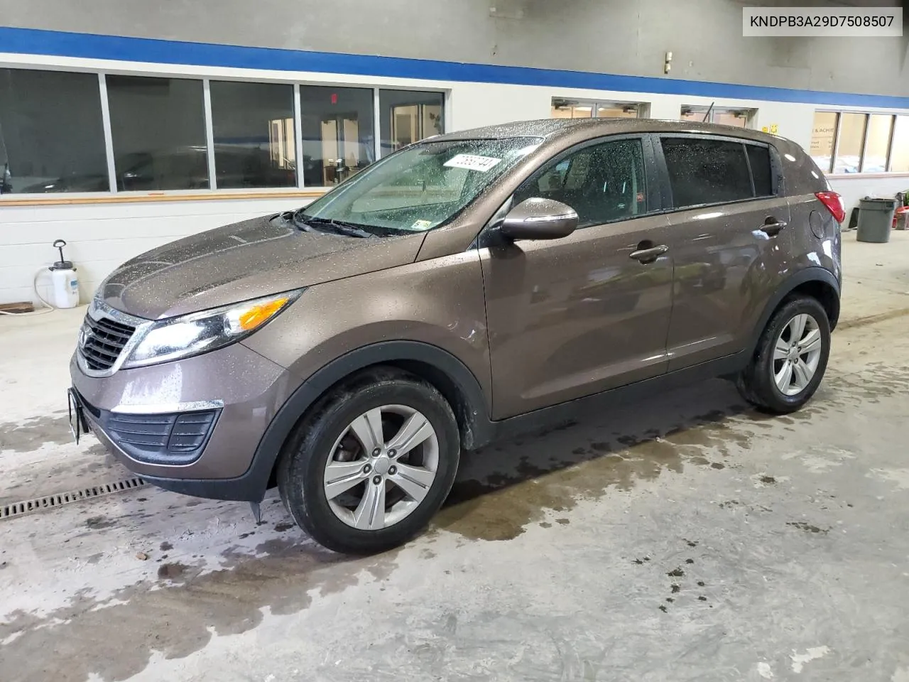 2013 Kia Sportage Base VIN: KNDPB3A29D7508507 Lot: 72653744